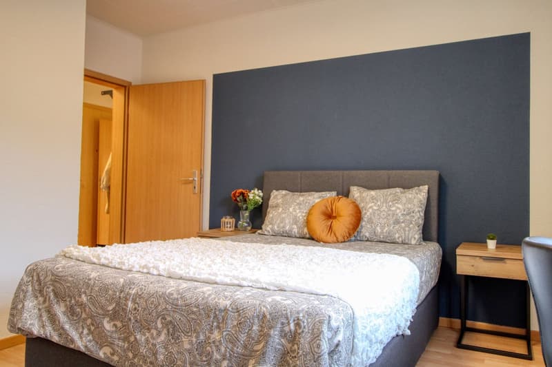 Cozy Furnished Single Room in a Flat Share – Manessestrasse, Zürich 8045 (5)