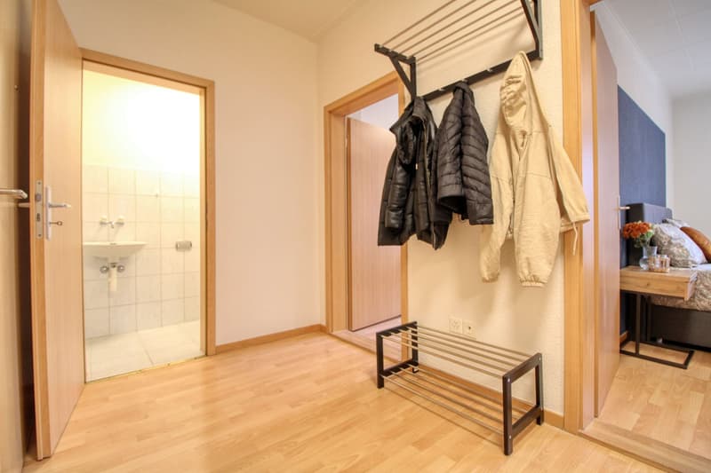 Cozy Furnished Single Room in a Flat Share – Manessestrasse, Zürich 8045 (18)