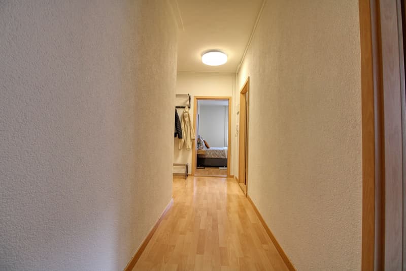 Cozy Furnished Single Room in a Flat Share – Manessestrasse, Zürich 8045 (15)