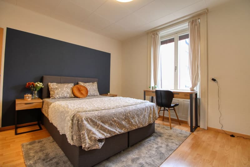Cozy Furnished Single Room in a Flat Share – Manessestrasse, Zürich 8045 (4)