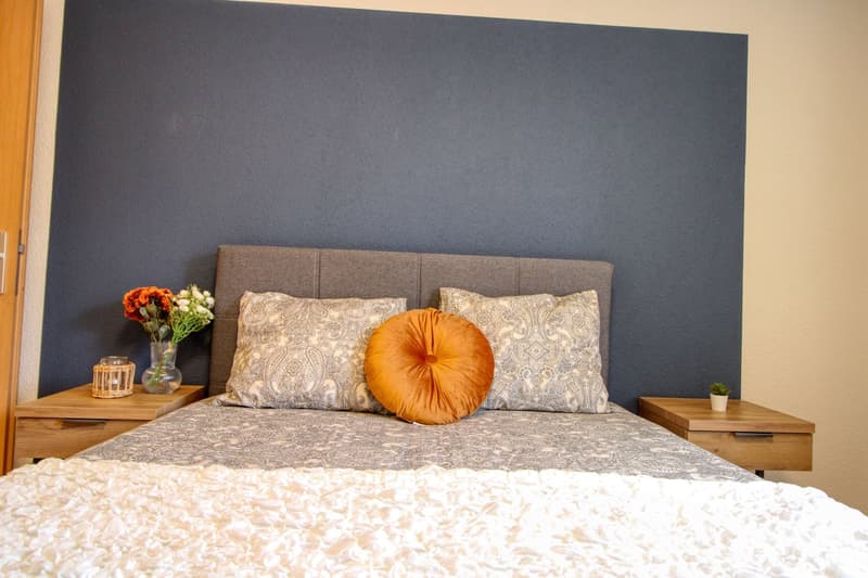 Cozy Furnished Single Room in a Flat Share – Manessestrasse, Zürich 8045 (7)