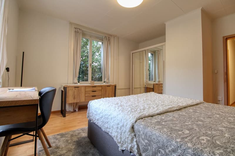Cozy Furnished Single Room in a Flat Share – Manessestrasse, Zürich 8045 (6)