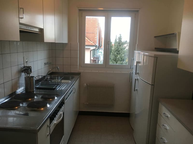 Cozy Single Room in a Flat Share – Zürich Wollishofen (10)