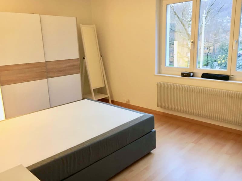 Cozy Single Room in a Flat Share – Zürich Wollishofen (3)