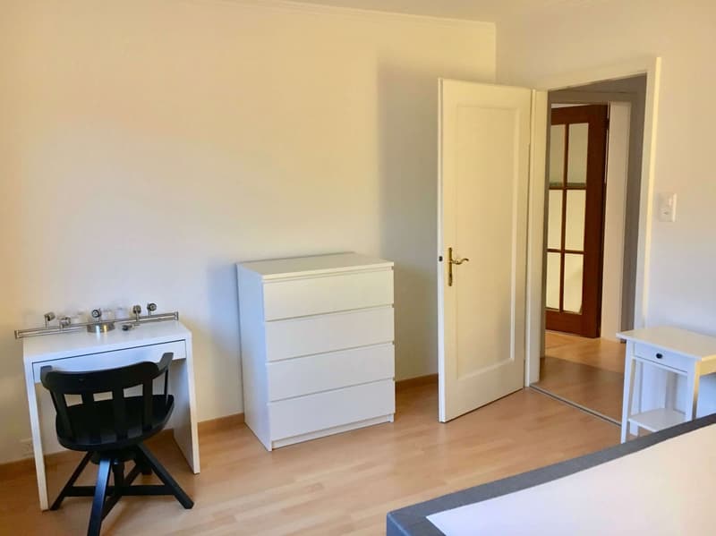 Cozy Single Room in a Flat Share – Zürich Wollishofen (2)