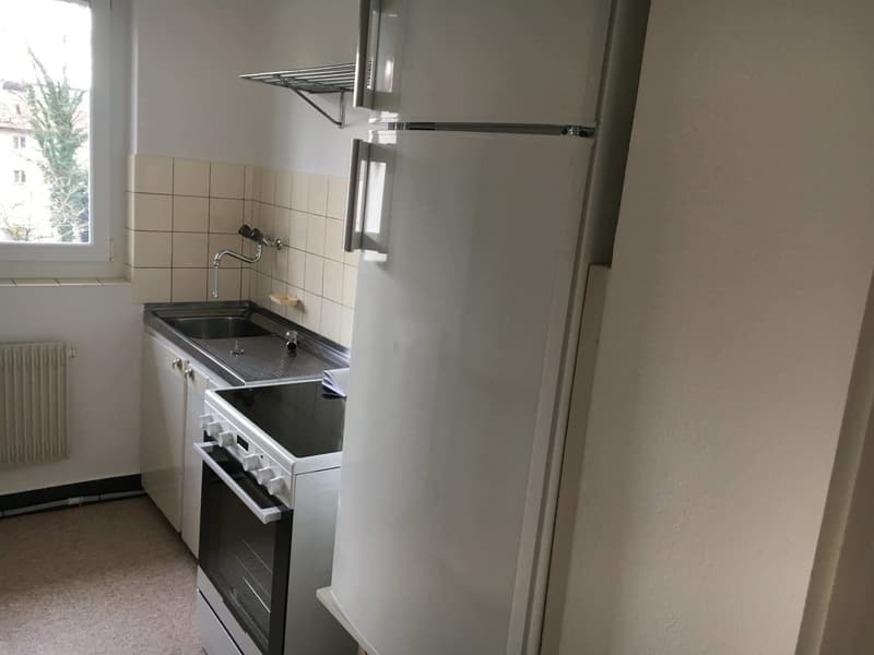 Cozy Single Room in a Flat Share – Zürich Wollishofen (11)