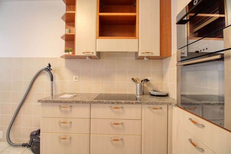 Furnished Room with Balcony in a Flat Share - Lausanne (16)