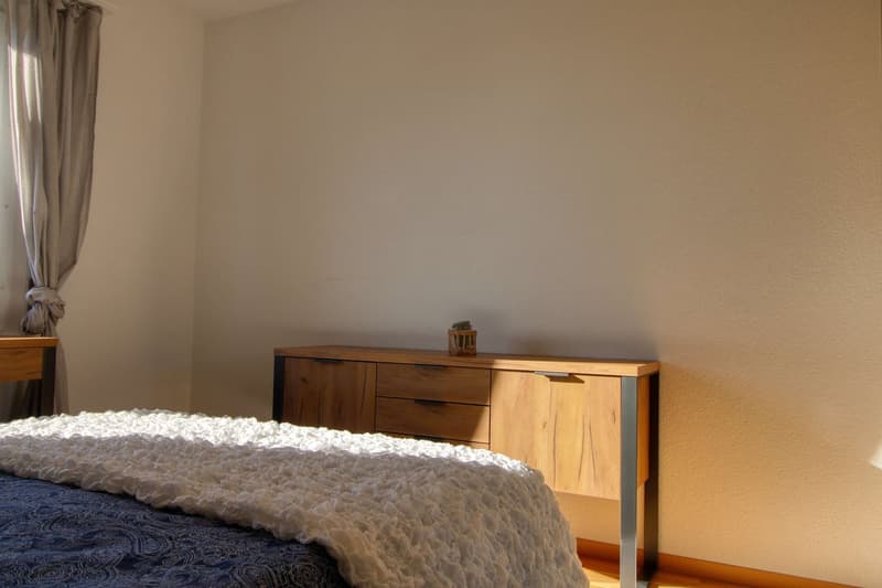 Furnished Room with Balcony in a Flat Share - Lausanne (10)