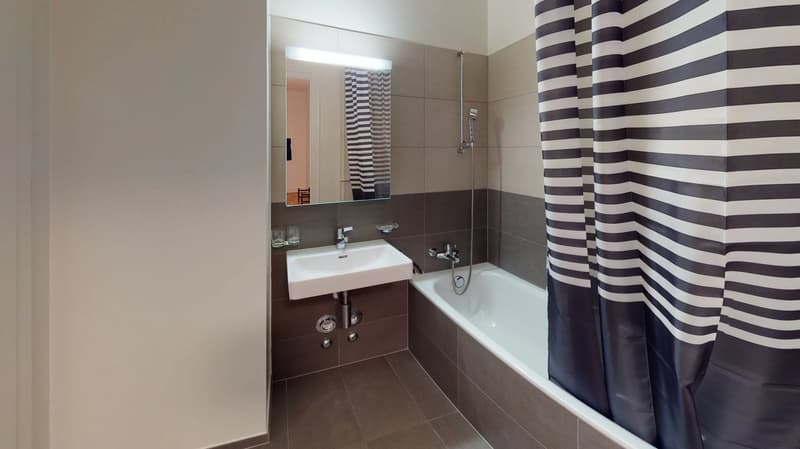 Cozy Single Room for Rent in a Flat Share - Genève 1203 (6)