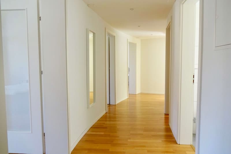 Cozy 1.5-Room Studio for Rent – Sunny & Well-Connected Location in Zürich (7)
