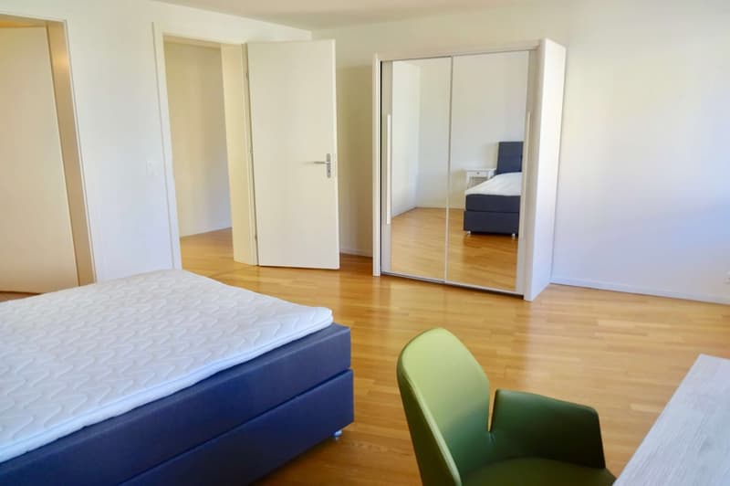 Cozy 1.5-Room Studio for Rent – Sunny & Well-Connected Location in Zürich (3)