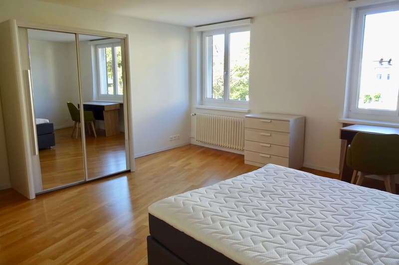 Cozy 1.5-Room Studio for Rent – Sunny & Well-Connected Location in Zürich (4)