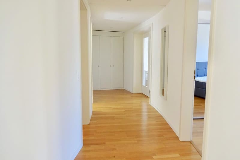 Cozy 1.5-Room Studio for Rent – Sunny & Well-Connected Location in Zürich (8)