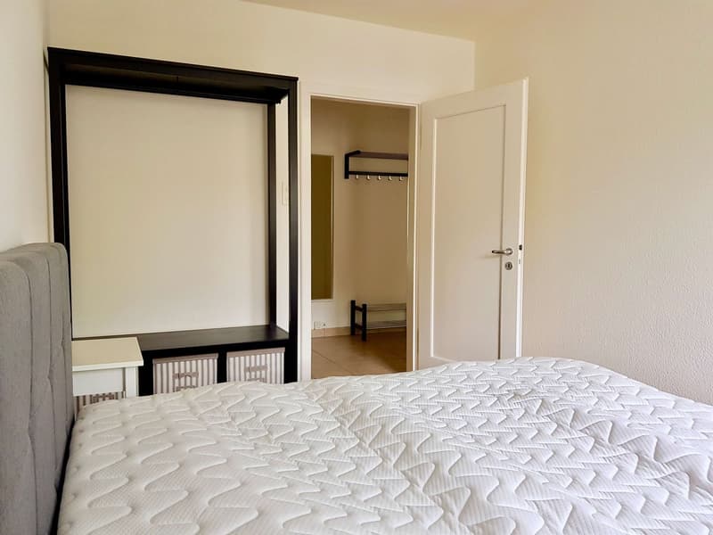 Cozy Single Room in a Flat Share - Prattelerstrasse, Basel (3)