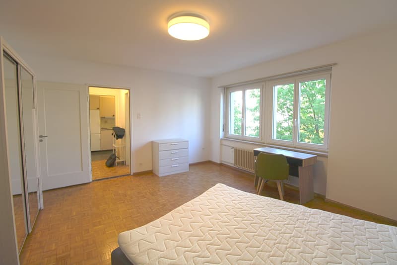 Möbliertes WG-Zimmer in der Nähe vom Claraplatz (4)