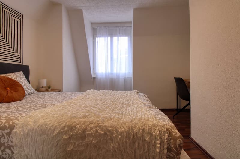 Your Coliving Spot in the Heart of Zurich (4)