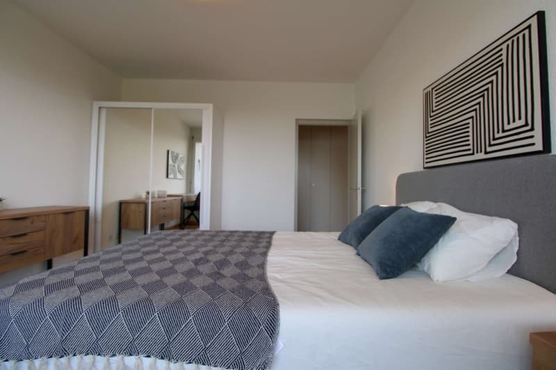 Spacious Coliving with International Connections in Le Grand-Saconnex (4)