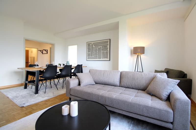 Spacious Coliving with International Connections in Le Grand-Saconnex (12)