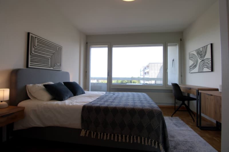 Spacious Coliving with International Connections in Le Grand-Saconnex (8)
