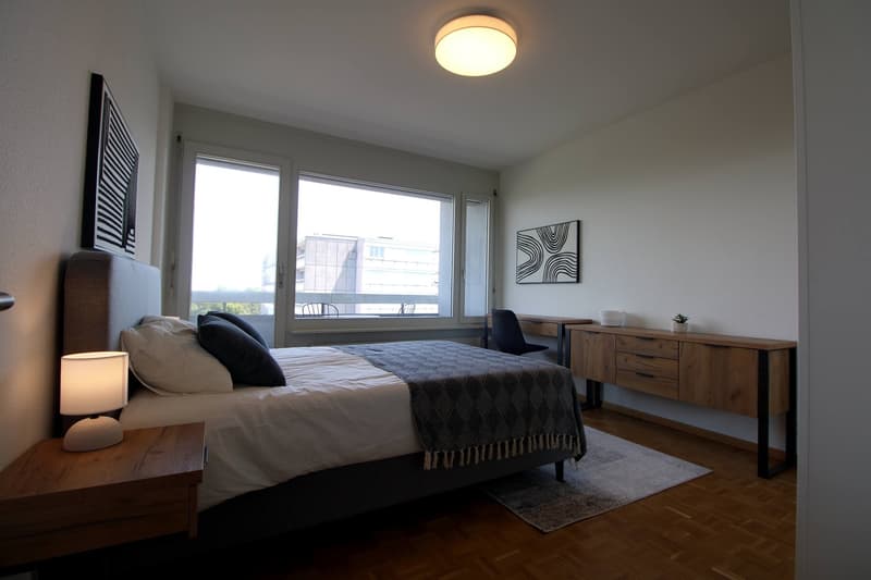 Spacious Coliving with International Connections in Le Grand-Saconnex (10)