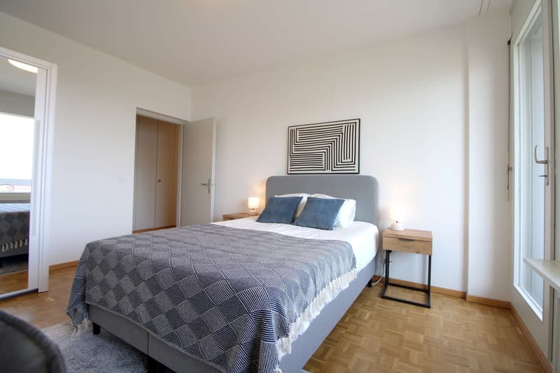 Spacious Coliving with International Connections in Le Grand-Saconnex (2)