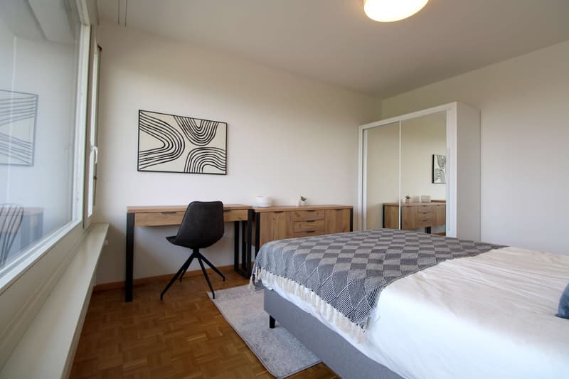 Spacious Coliving with International Connections in Le Grand-Saconnex (5)