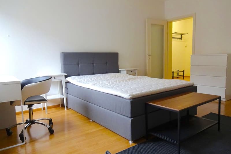 Cozy Single Room in a Flat Share – Basel, Riehenstrasse (1)