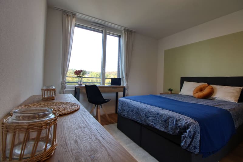 Appartement vivant spacieux à Crissier avec salle de bain privée (8)