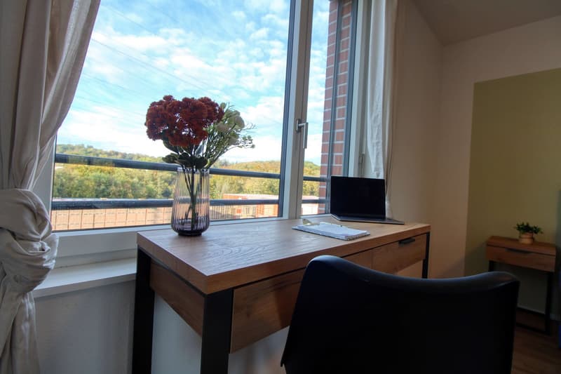 Appartement vivant spacieux à Crissier avec salle de bain privée (6)