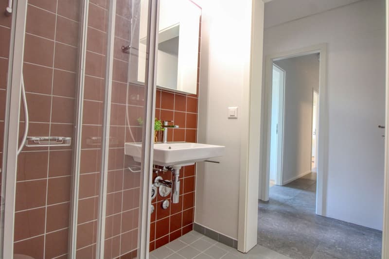 Appartement vivant spacieux à Crissier avec salle de bain privée (10)