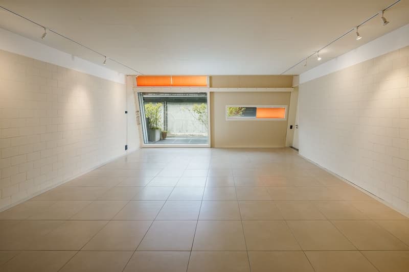 Large, modern 6.5-room apartment (9)