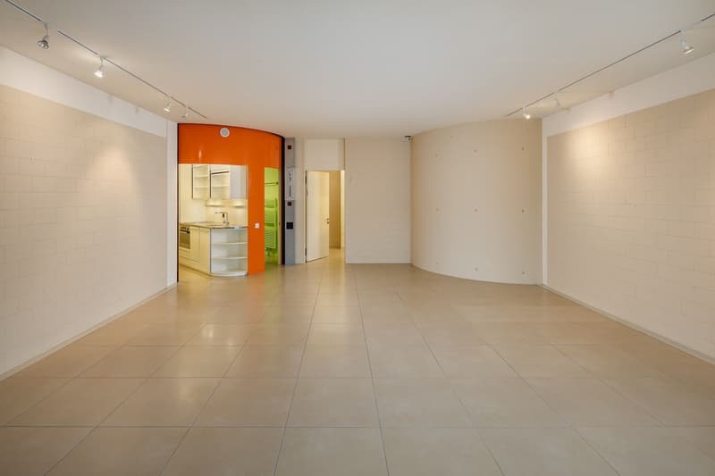 Large, modern 6.5-room apartment (8)