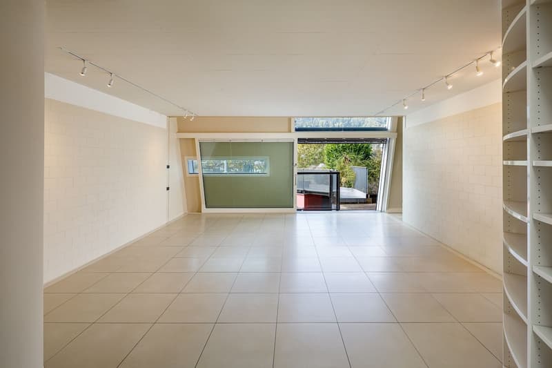 Large, modern 6.5-room apartment (4)