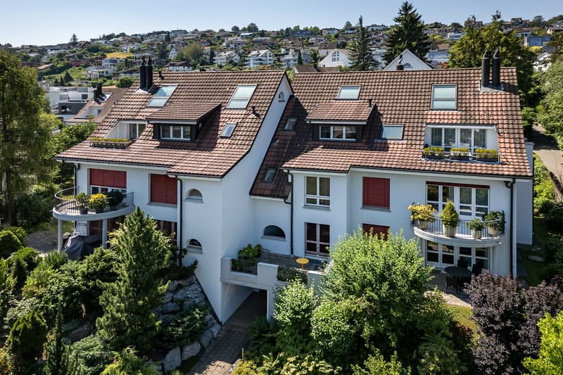 6.5 Zimmer-Duplex-Attikawohnung (1)