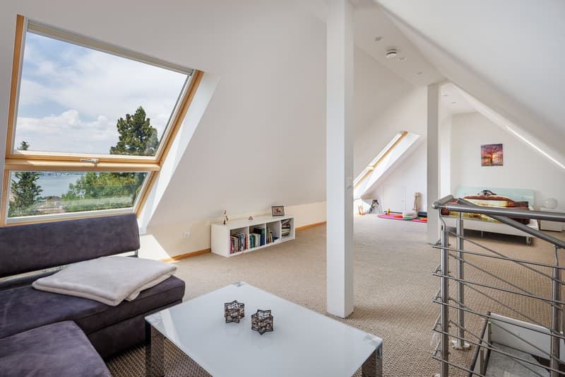6.5 Zimmer-Duplex-Attikawohnung (9)