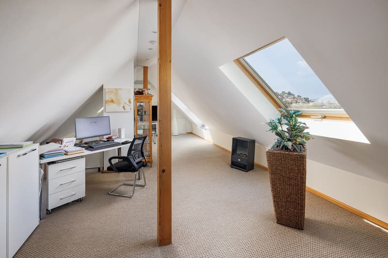 6.5 Zimmer-Duplex-Attikawohnung (10)