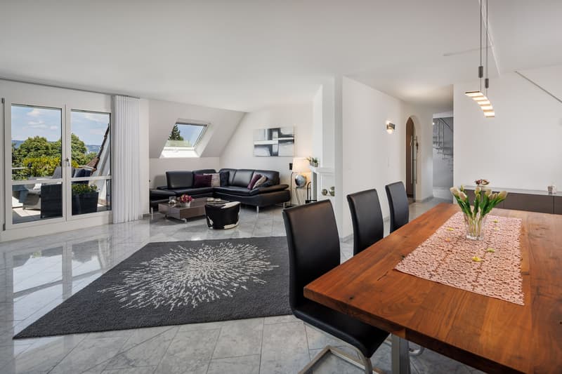 6.5 Zimmer-Duplex-Attikawohnung (2)