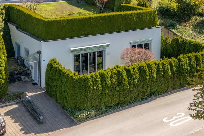 modern house, white exterior, green hedges, glass doors, green roof, paved driveway