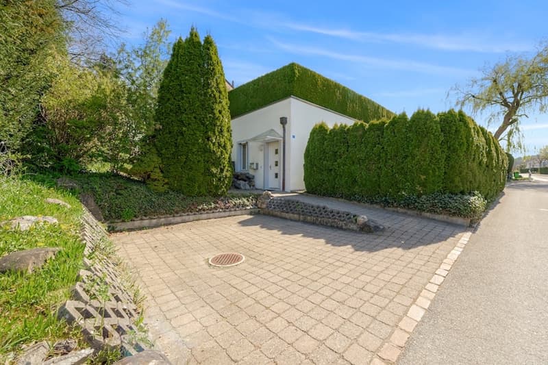 House with greenery and paved driveway