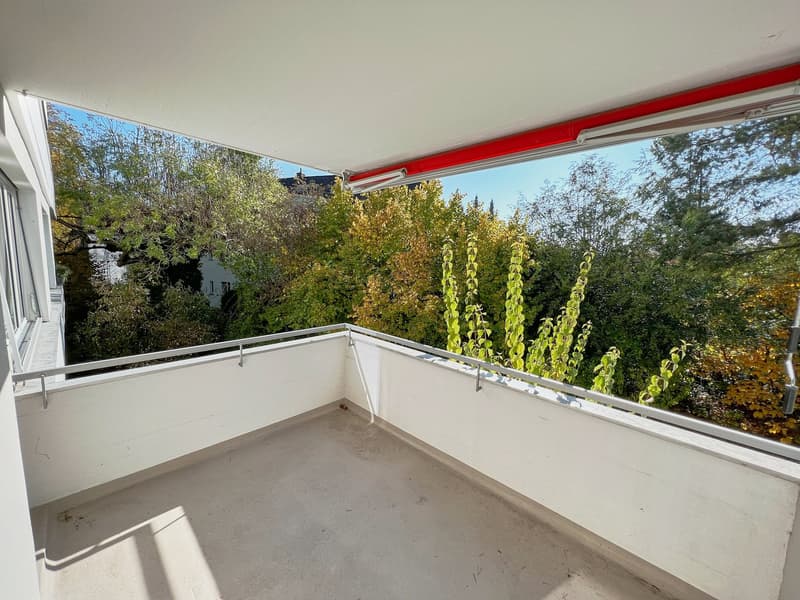 empty balcony with metal railings, white walls, concrete floor, view of trees