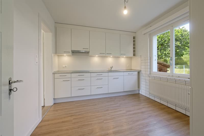 Paradis familial à Zurich Höngg – Maison mitoyenne 5 pièces avec grand jardin ensoleillé (3)