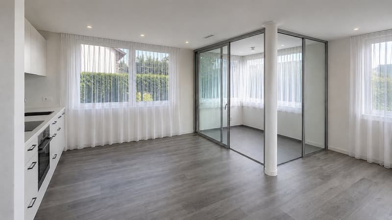 Freshly renovated 2.5-room apartment in Greifensee (4)
