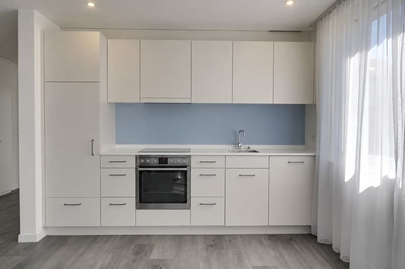 Freshly renovated 2.5-room apartment in Greifensee (3)