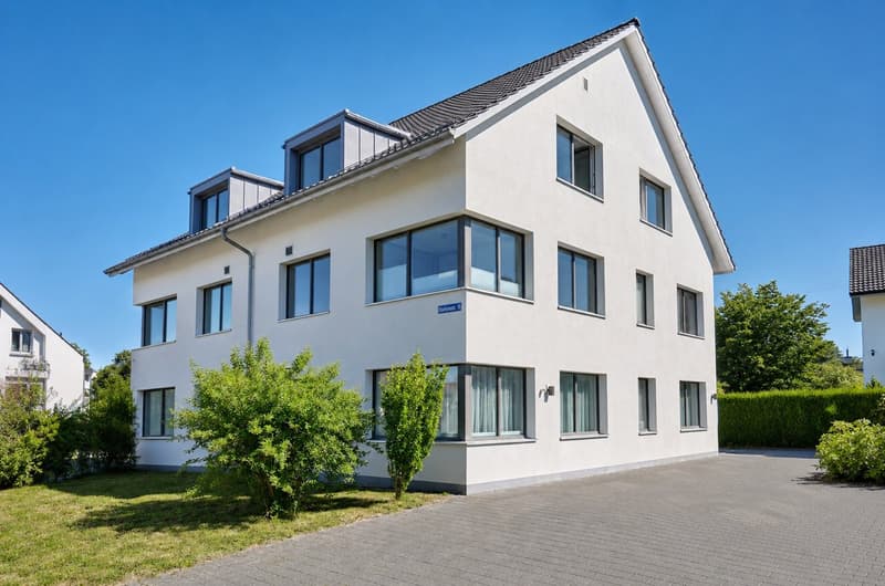 Freshly renovated 2.5-room apartment in Greifensee (1)