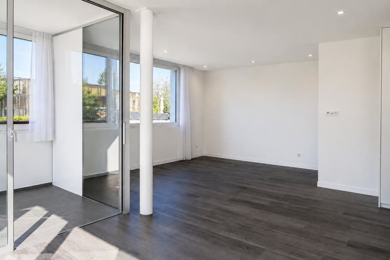 Freshly renovated 2.5-room apartment in Greifensee (5)