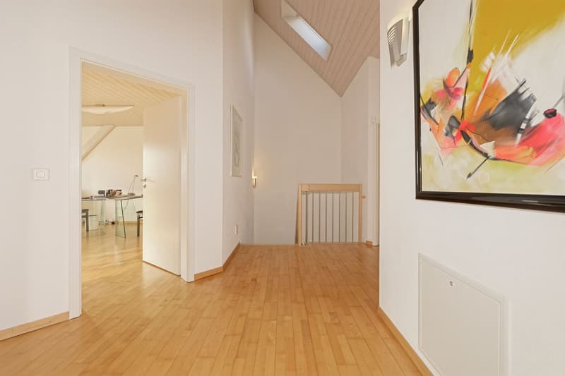 Your new home: 6.5-room single-family house with a magnificent view to the mountains (7)