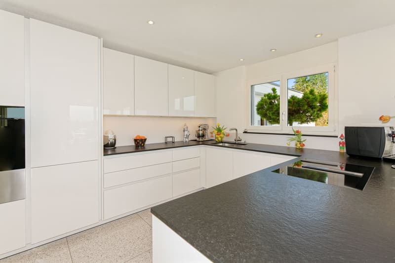 Your new home: 6.5-room single-family house with a magnificent view to the mountains (1)
