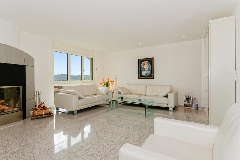 Your new home: 6.5-room single-family house with a magnificent view to the mountains (4)