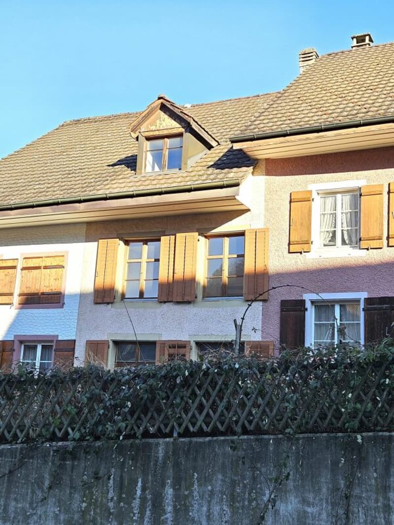 Single-family house with annex apartment (1)