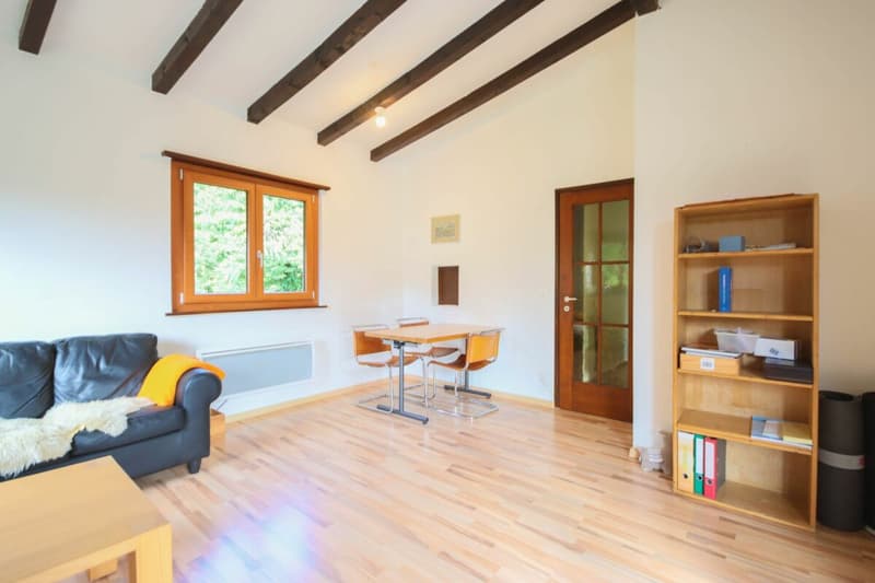 Maison de vacances sur un grand terrain constructible dans un endroit calme entouré de verdure (6)